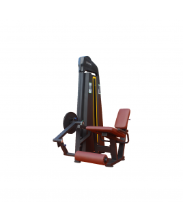 LEG EXTENSION